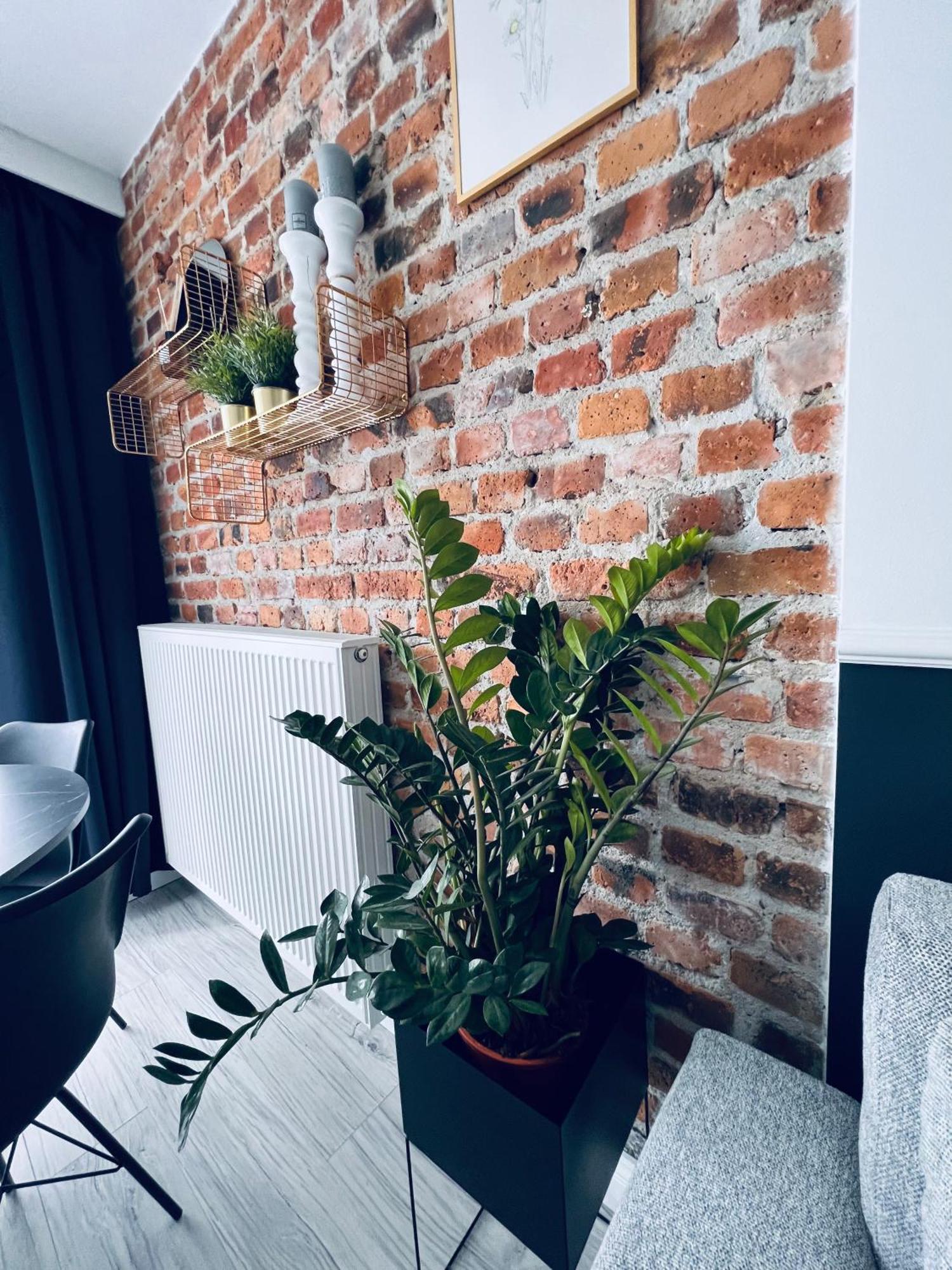 Apartamenty Zary المظهر الخارجي الصورة